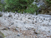 20220913_114024_resize